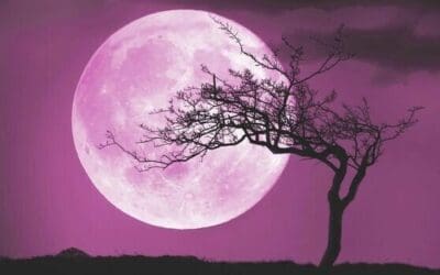 Pink moon