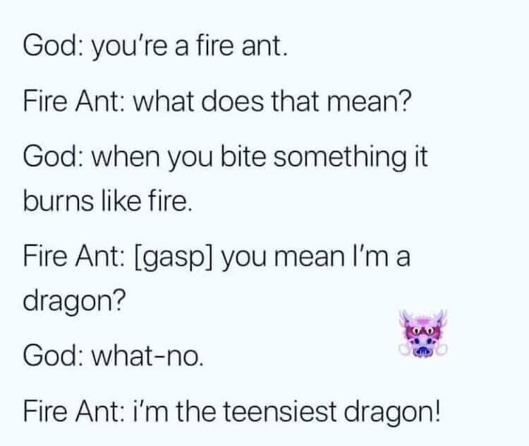 FB_IMG_1568163011832