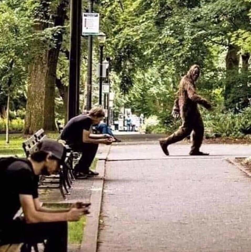 FB_IMG_1568166928311