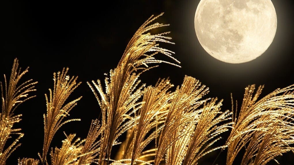 e37ef2b6-a16e-4e13-bab3-eb0429fff181-shutterstock-301570046