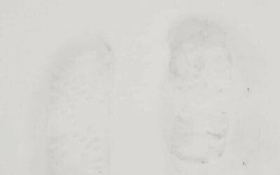 Footprints in the snow