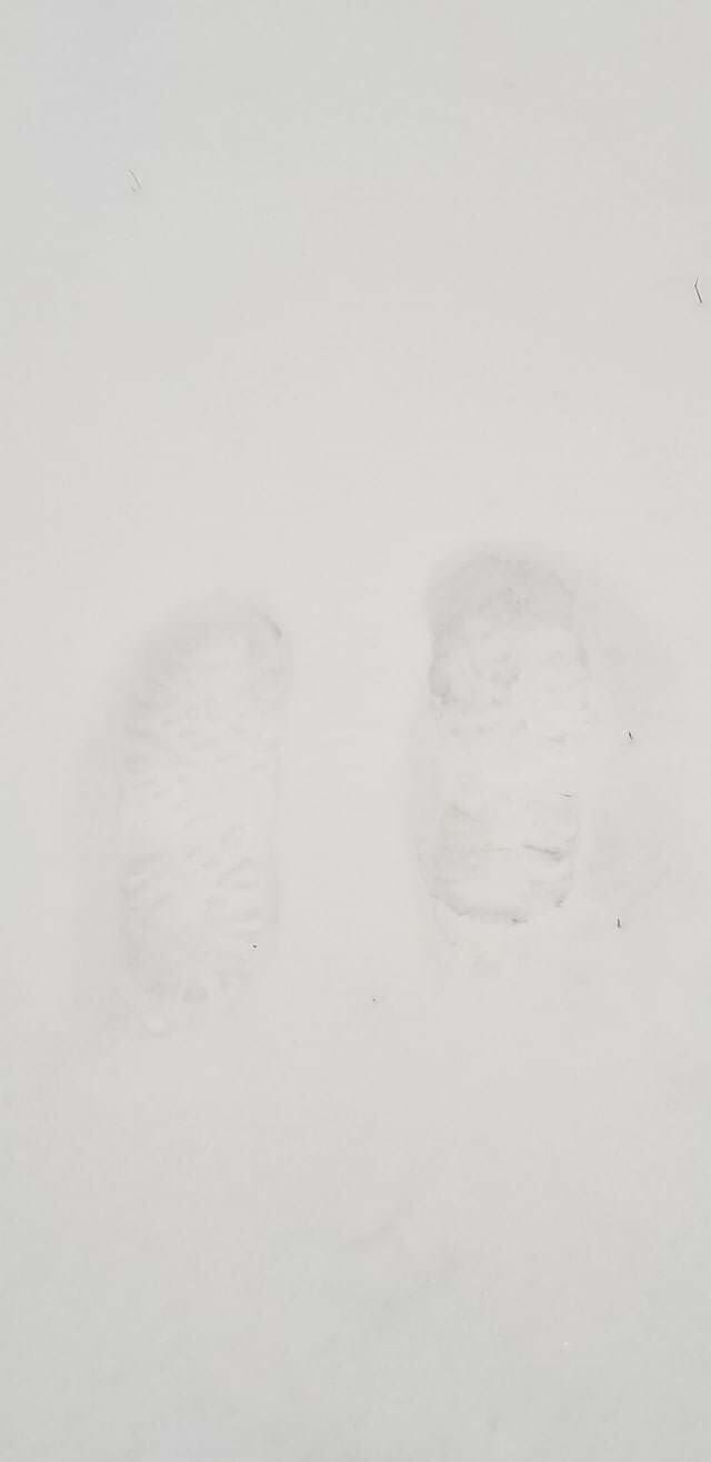 FB_IMG_1576066829946