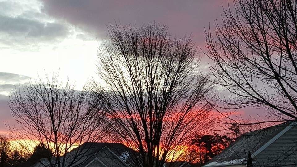 FB_IMG_1578399252983