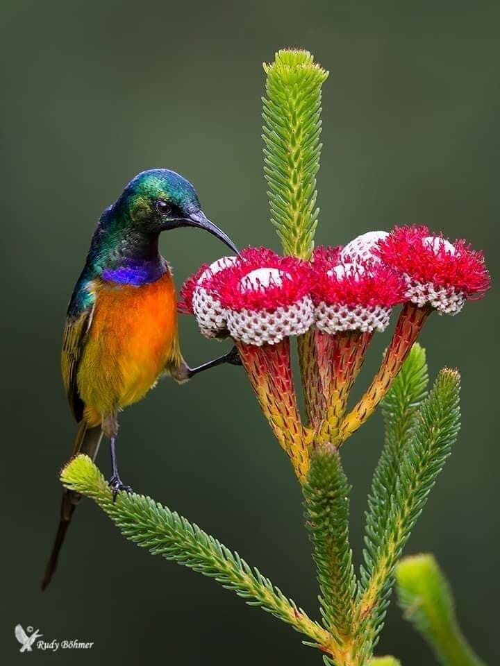 FB_IMG_1581941145580