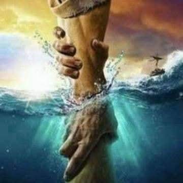 FB_IMG_1740394889931