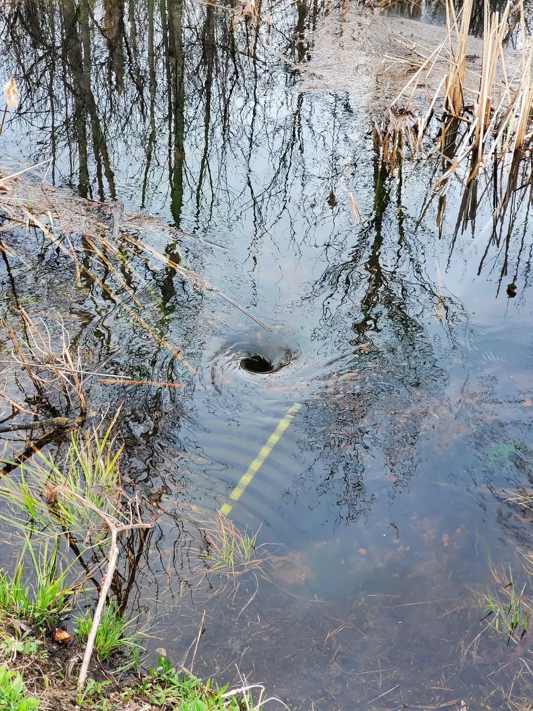 FB_IMG_1745315965582