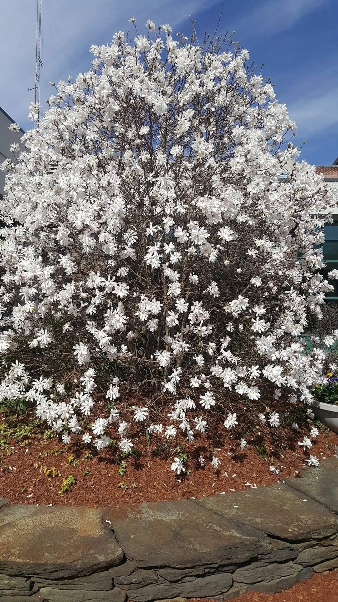 FB_IMG_1745842314359