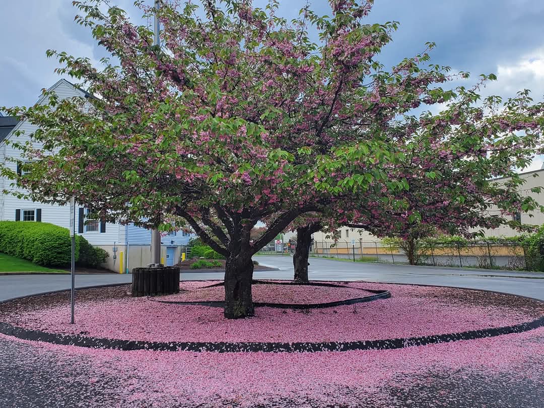 FB_IMG_1747218501754