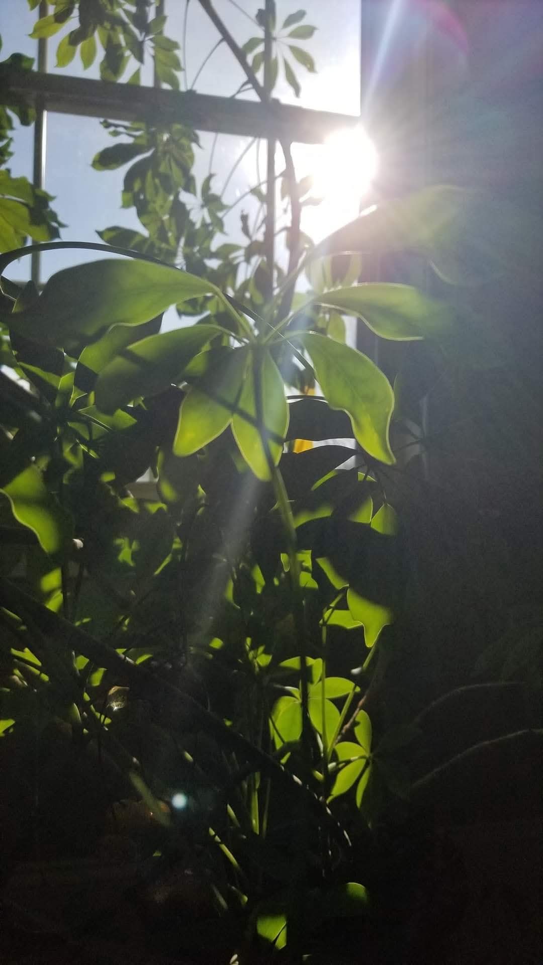 FB_IMG_1750757471144