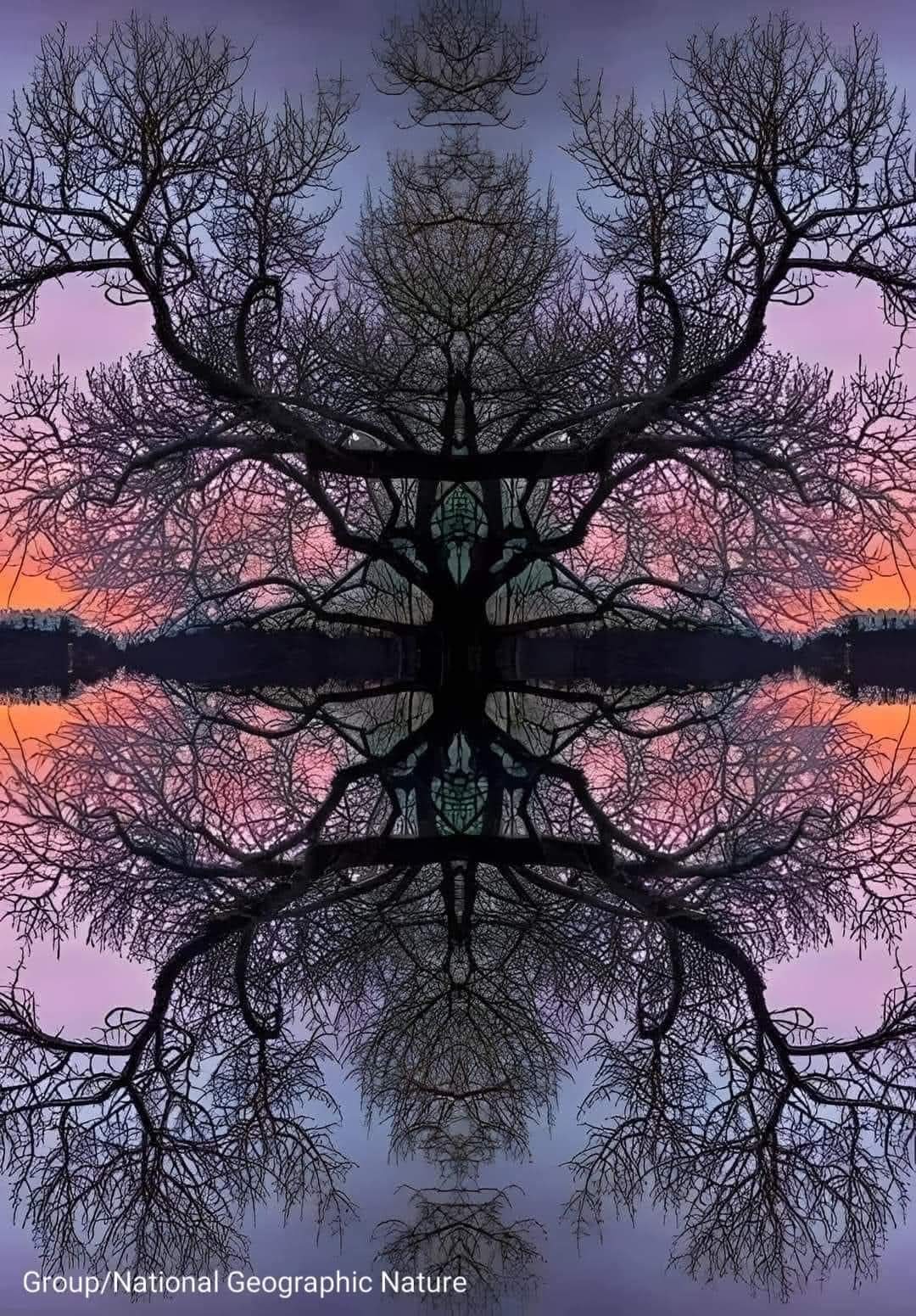 FB_IMG_1753954325610